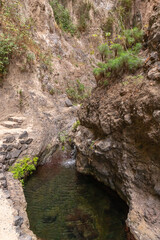 Fototapeta na wymiar Kleiner Tümpel am Ende der Barranco del Infierno
