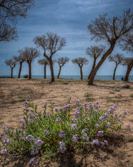 Fototapete bei efototapeten.de bestellen   