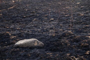 Grey stone on a burnt grass ground after wildfire. Environmental pollution concept