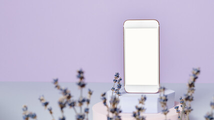 Smartphone with blank white screen on podium with lavender flowers at violet background, banner...