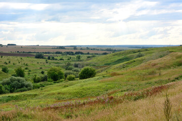 Fototapeta premium A grassy landscape with green hills and a few trees and a cloudy sky 