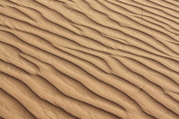 texture of sand