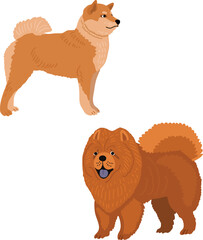 Dogs. shiba inu. chow chow. vector illustration - 579688142