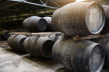 Oak barrels in a whiskey distillery