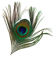 Peacock tail feather cut out on a transparent background. The top part is visible, with the eye. 