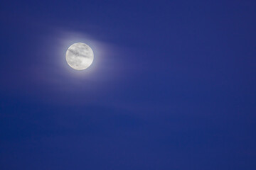 Naklejka na ściany i meble shining moon with soft clouds on the sky during blue hour left side