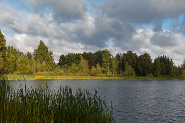 Lake in the forest and meadows. Cloudy day.