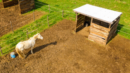 Aerial view of a white horse standing in its corral which is in open countryside.