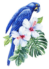 Watercolor Blue parrot macaw, flowers, palm leaf in isolated white background. Tropical bird illustration hand drawing,