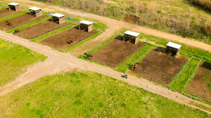 Aerial view on a stall with many horses. The animals are enclosed in fences in the open space...