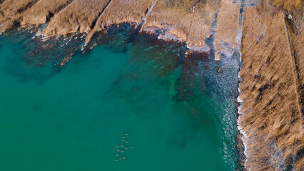 Landscape view of the lake, Balaton in Hungary. Green lake. Surrounded by reeds. Drone view. Look...