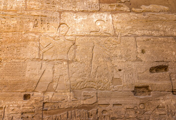 Ancient Egyptian hyroglyphs in the temple of Karnak, Egypt