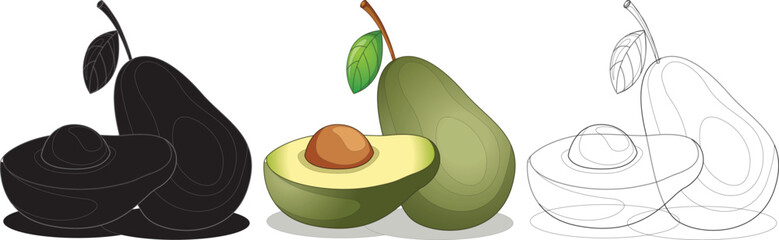  Avocado fruit design illustration Vector