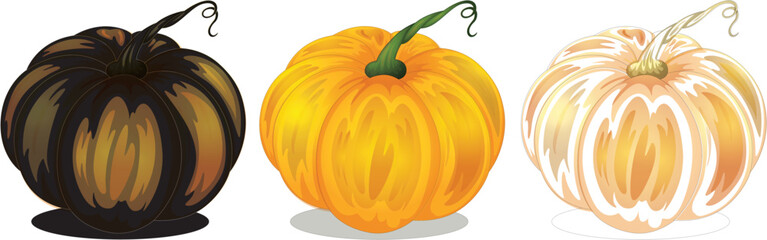 Pumpkin fruit design illustration Vector