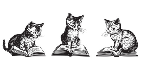 set of a seating cute cat reading book vector black outline silhouette isolated on white background.