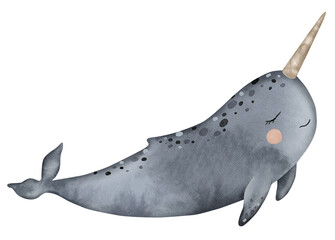 Cute cartoon narwhal in grey color. Underwater Cute baby whale. Hand drawn watercolor illustration of sea mammal. Cetaceans fish for wall sticker, poster, children's book illustration, print © Daryartsy