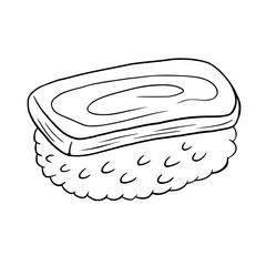 Sushi hand drawn isolated on white background. Vector illustration.