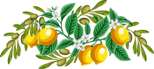 Wedding invitation with lemon, leaf, flower and olive branches elements, highlight individual PNG objects.