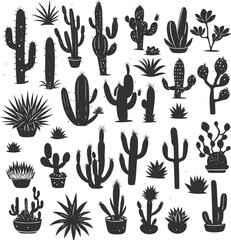 Black and white cactus plants silhouette illustration set.