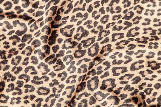 Leopard effect, fabric pattern. Background sample, seamless background print texture. Animal textil design.