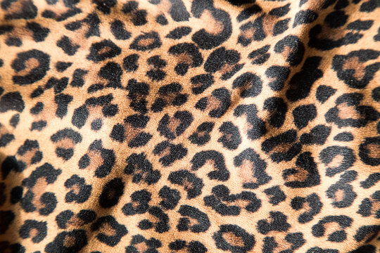 Leopard effect, fabric pattern. Background sample, seamless background print texture. Animal textil design.