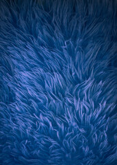 Bright color furry texture backdrop close up. Texture of wool skin. Abstract fur background. Hairy pattern for design. Fabric copy space colored background.