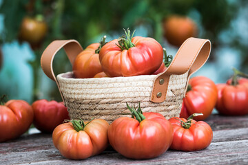 Organic food, Free red vegetables of tomato