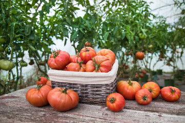 Vegetables, tomatoes on wooden desk