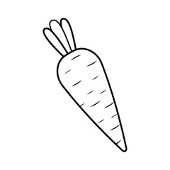 food, vegetables. black and white illustration (coloring book) of carrot made by outline
