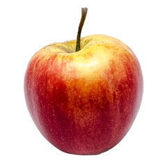 Close-up of one single apple with red and yellow colors 