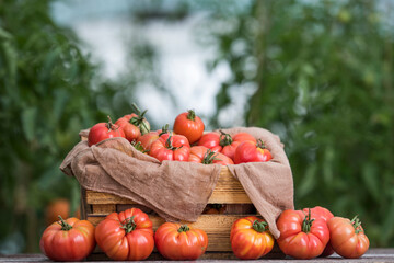 Fresh tomatoes in a wooden crate