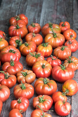 Red Tomatoes in a Greenhouse, organic food