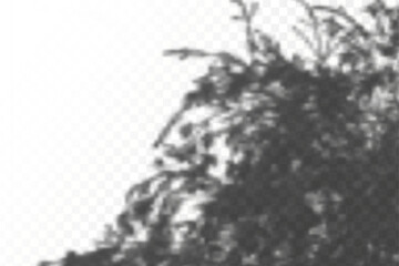 Realistic shadow tropical leaves and branches on transparent checkered background. The effect of overlaying shadows. Natural light layout.