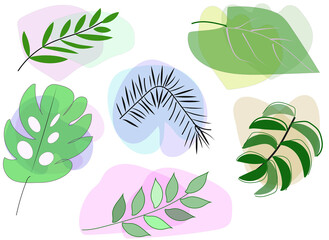 set of leaves in illustration