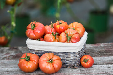 Vegetables, tomatoes on wooden desk