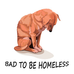 homeless dog