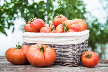 Organic food, Free red vegetables of tomato