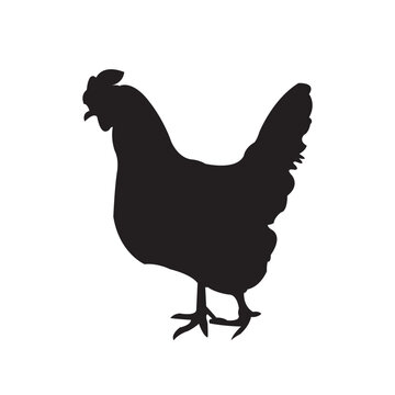 recommend clip art: silhouette of a chicken