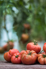 Vegetables, Tomatoes,  on desk in garden