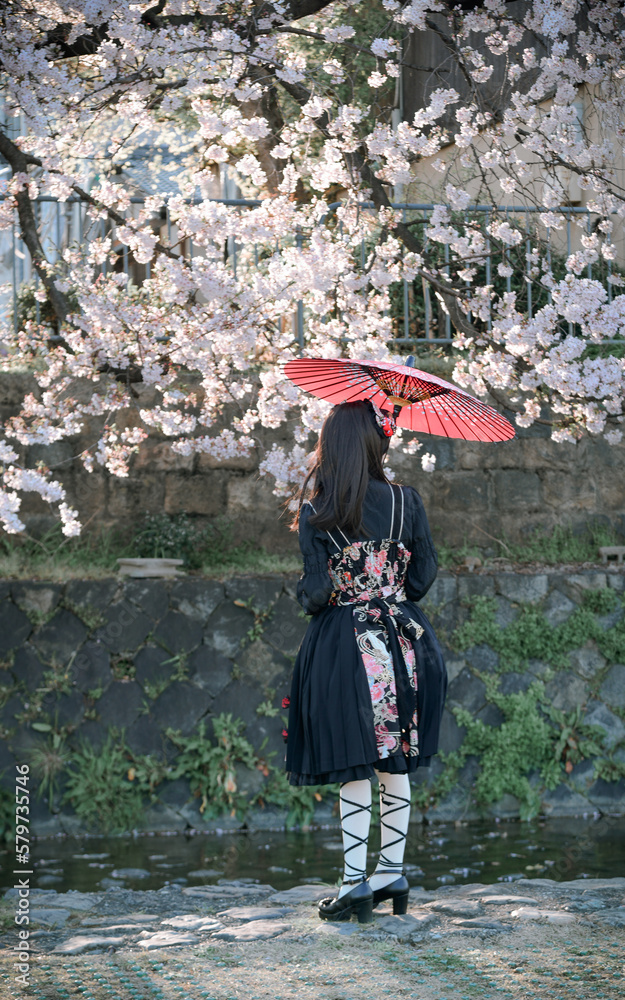 Wall mural Cherry blossom (sakura) in Kyoto, Japan