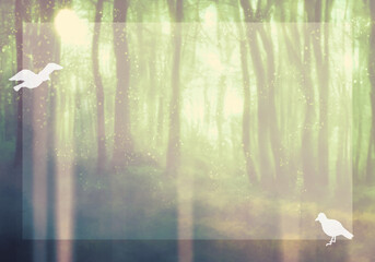神秘的な明るい森と白い鳥テキストエリア付き背景（ライトグリーン）