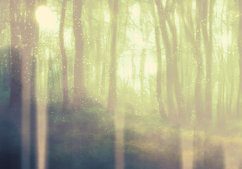 神秘的な明るい森背景イラスト（ライトグリーン）