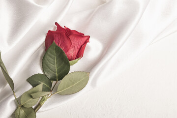 Red rose on a white satin background. Greeting card.
