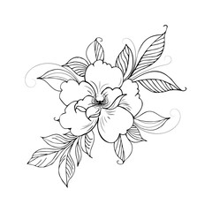 Floral composition, floral background with tender flowers and branches of buds. Hand drawing. For stylized decor, invitations, postcards, posters, cards, backgrounds, as clipart or coloring page.