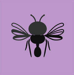 Vector fly silhouette. Fly silhouette icon isolated on purple background.