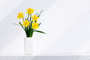 Hello spring, summer flowers background concept with sun rays. Easter yellow bunch of blossoming narcissus flowers in white vase on white nature background, space for text.