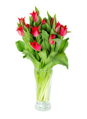 Bouquet of red tulips in a vase