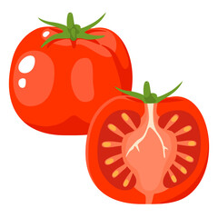 Fresh tomato fruit and tomato slices are isolated on white background. Vector illustration flat cartoon design.