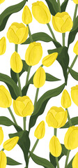 Seamless pattern of yellow tulips on white background. Vintage spring flowers background. Vector illustration.
