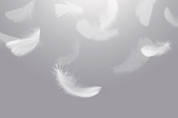 Abstract White Bird Feathers Falling in The Sky. Feathers Floating in Heavenly	